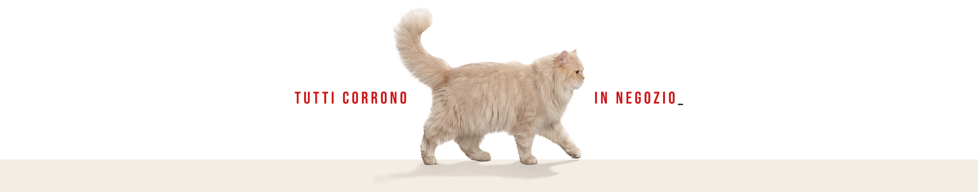 Promozione Zero vero 2026