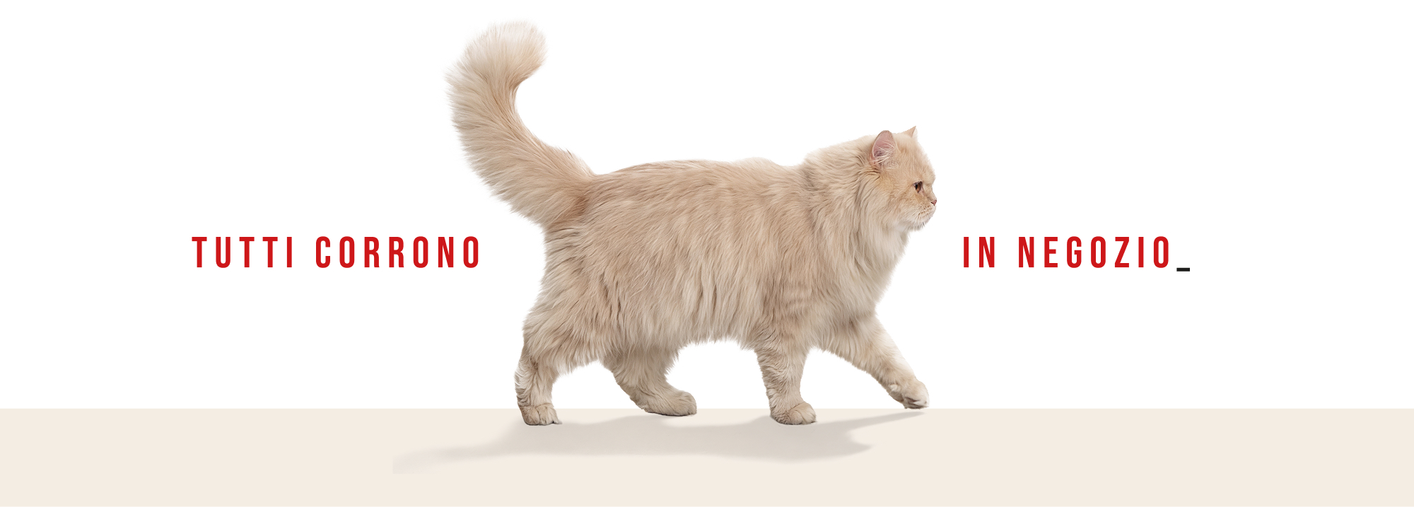 Promozione Zero vero 2026